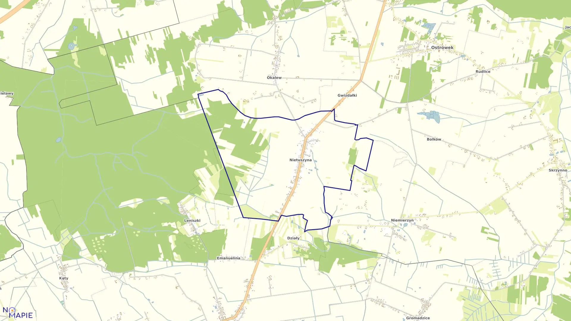 Mapa obrębu NIETUSZYNA w gminie Ostrówek