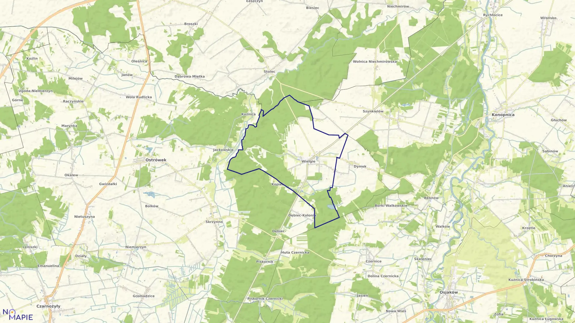 Mapa obrębu WIELGIE w gminie Ostrówek